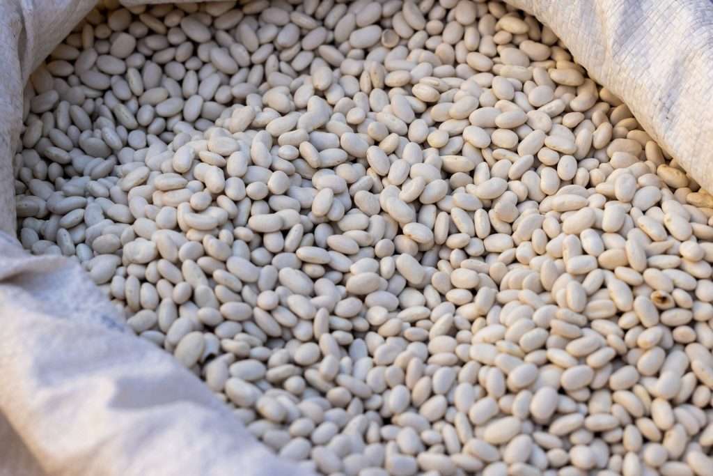 Dry beans