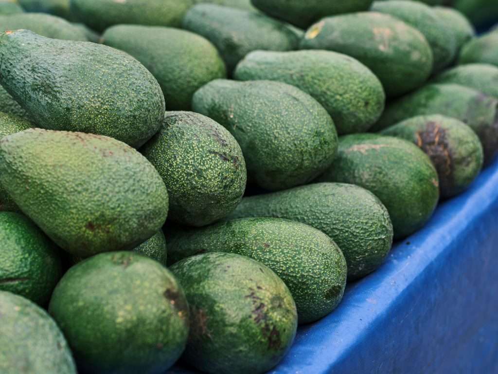 Fresh avocados