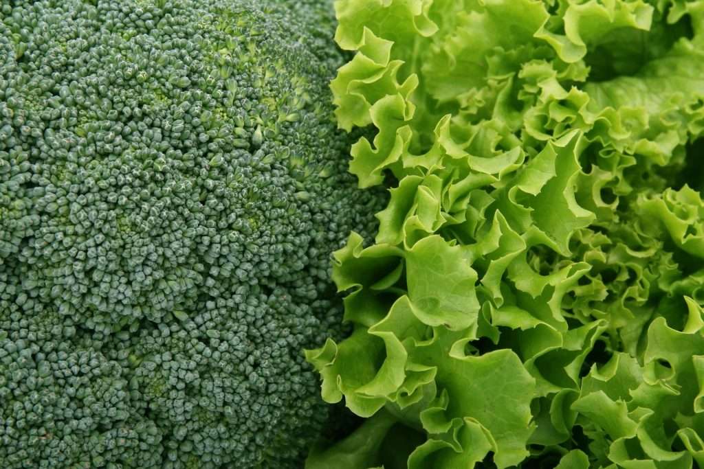 Fresh leafy vegetables