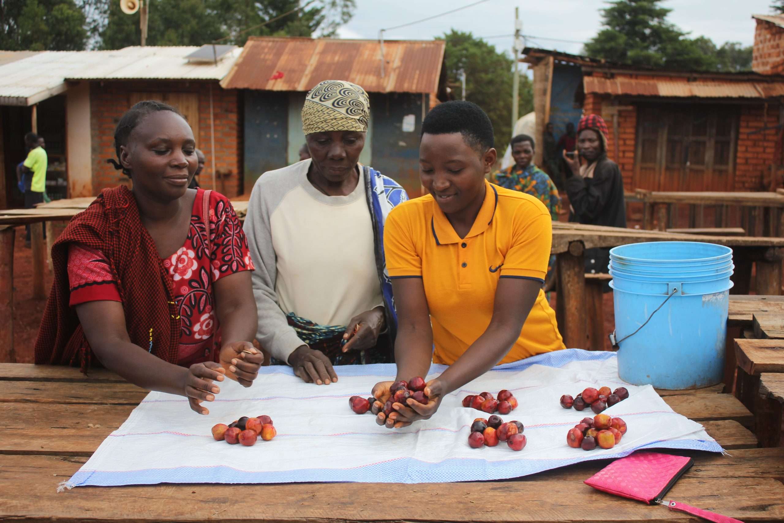 Women grading fruit