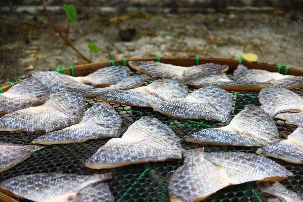 Salted fish fillets drying on a woven basket
