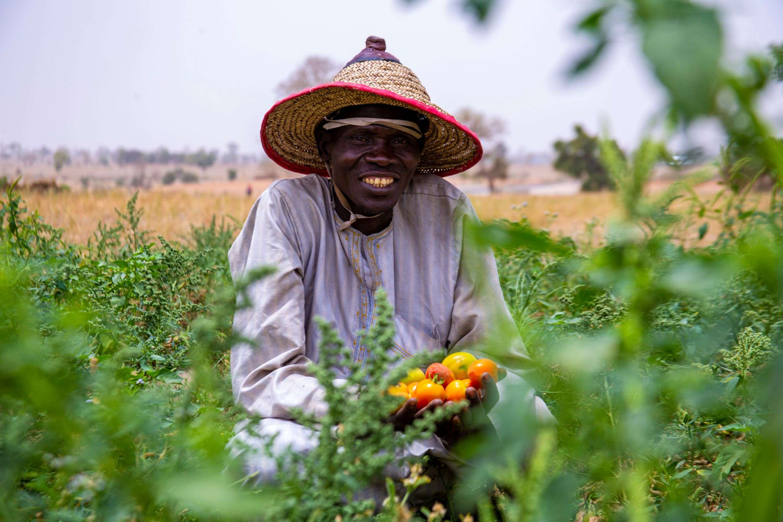 Smiling farmer holding freshly harvested tomatoes in a green field