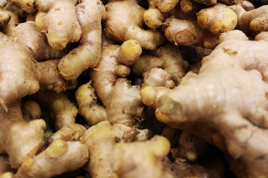Fresh ginger roots